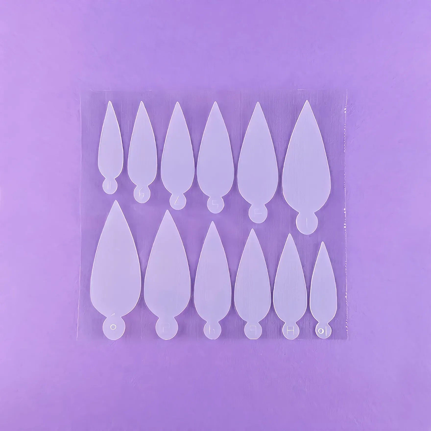 DNKa Moldes, 36 uds