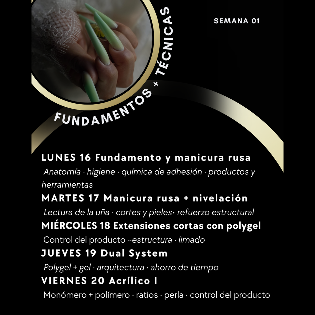 Técnico Manicurista Profesional · Noviembre 2026